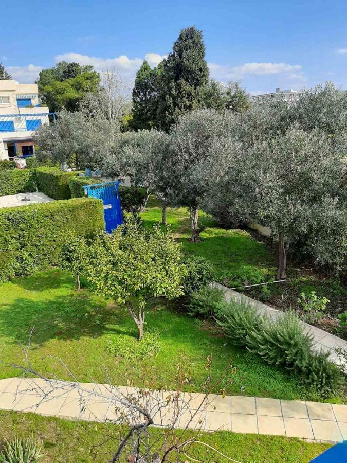 2 Bedroom Apartment-Mediterranean Type Paphos Exteriér fotografie