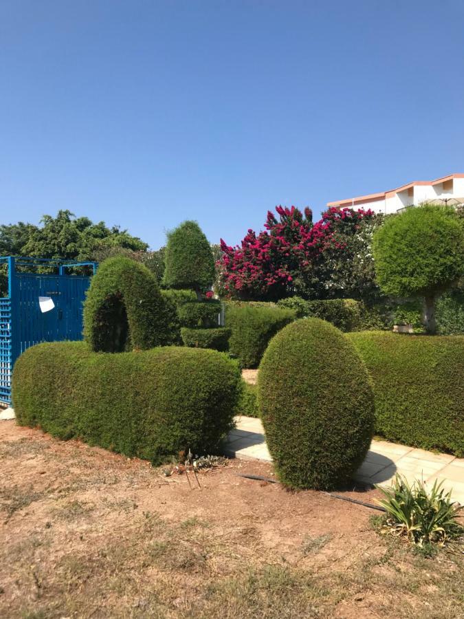 2 Bedroom Apartment-Mediterranean Type Paphos Exteriér fotografie